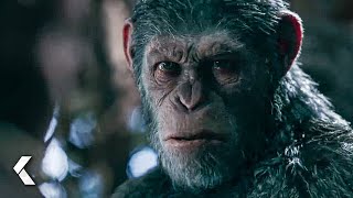 I Did Not Start This War! Scene  War for the Planet of the Apes (2017)