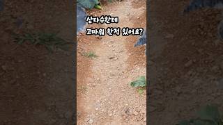 #산책 #삼다수#농사