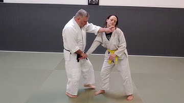 Quick Review of 5th Kyu Test Techniques