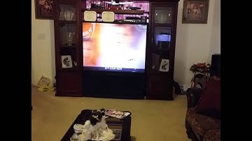 Pico QX by Blade Helis review