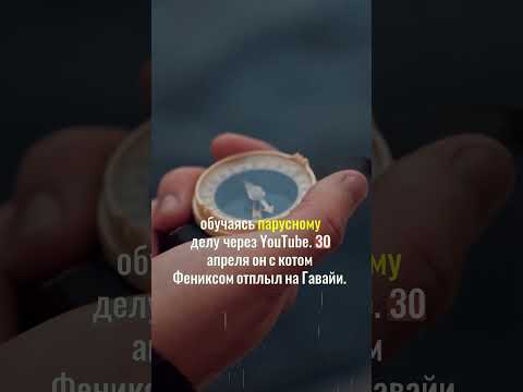 Как кот переплыл океан!