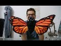 Transforming Monarch Puppet Quiz