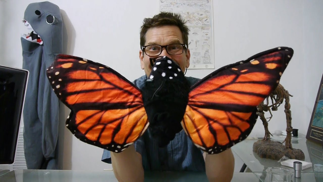 Multicolour Manhattan Toy 218460 Natural Historian Butterflies and Moth Finger Puppet Play Set