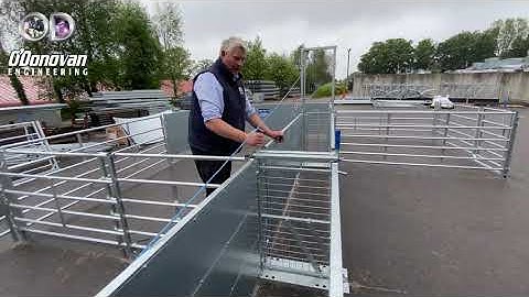 Fixed Sheep Yard With 2-Way Drafting