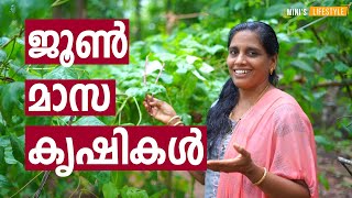 What to Plant in June | ജൂൺ മാസ കൃഷികൾ | Krishi Calender