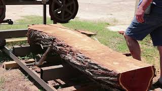 Timbercat 2020 SAWMILL Slabbing Out 24' Mesquite Log Cutting Journey !