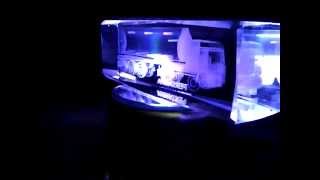 Pertamina Truck Crystal 3D Laser Engraving