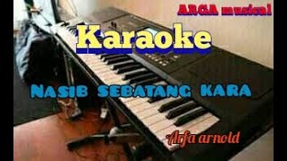 karaoke | nasib sebatang kara - Arfa arnold