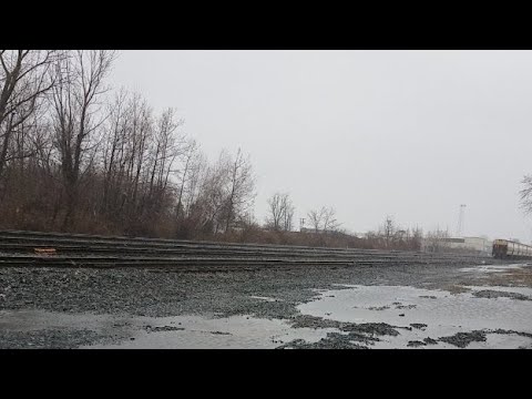 bnsf 5729 Live Union Pacific Train