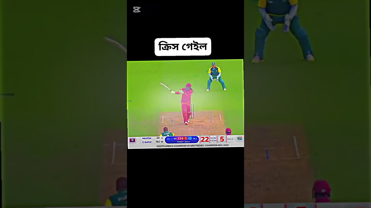 Best Cricket Chris Gayle Fans