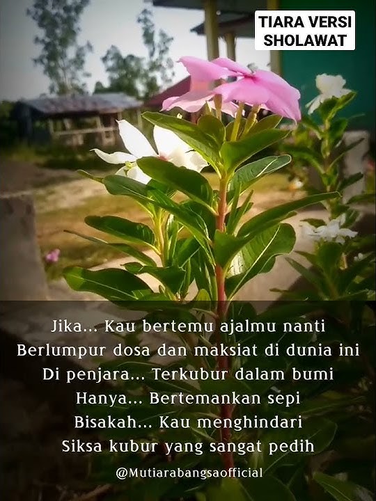 Tiara Versi Sholawat #TiaraVersiSholawat #Tiara #Tiarasholawat