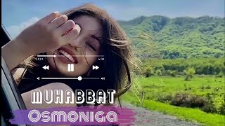 Muhabbat osmoniga |#premeyra | Мухаббат осмонига |#begzodbek_qodirov |