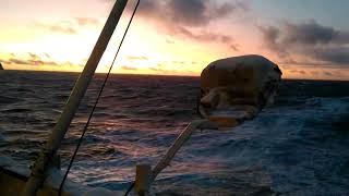 Вечернее Баренцево море. Севморпуть/Evening Barents Sea.  Northern Sea Route.