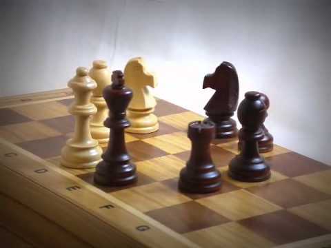 Šachy turnajové Stauton č.7 s dubovou intarsovanou šachovnicí. Kód:40178D -  YouTube