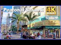 【4K】WALK Peatonal SARANDI Montevideo URUGUAY 4k video TRAVEL