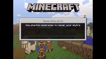 If I Touch A Grass Block The Video Ends