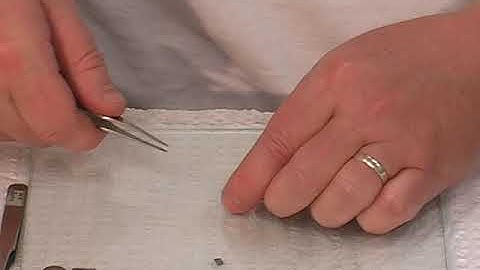 AFM: Mounting Samples for Atomic Force Microscopy