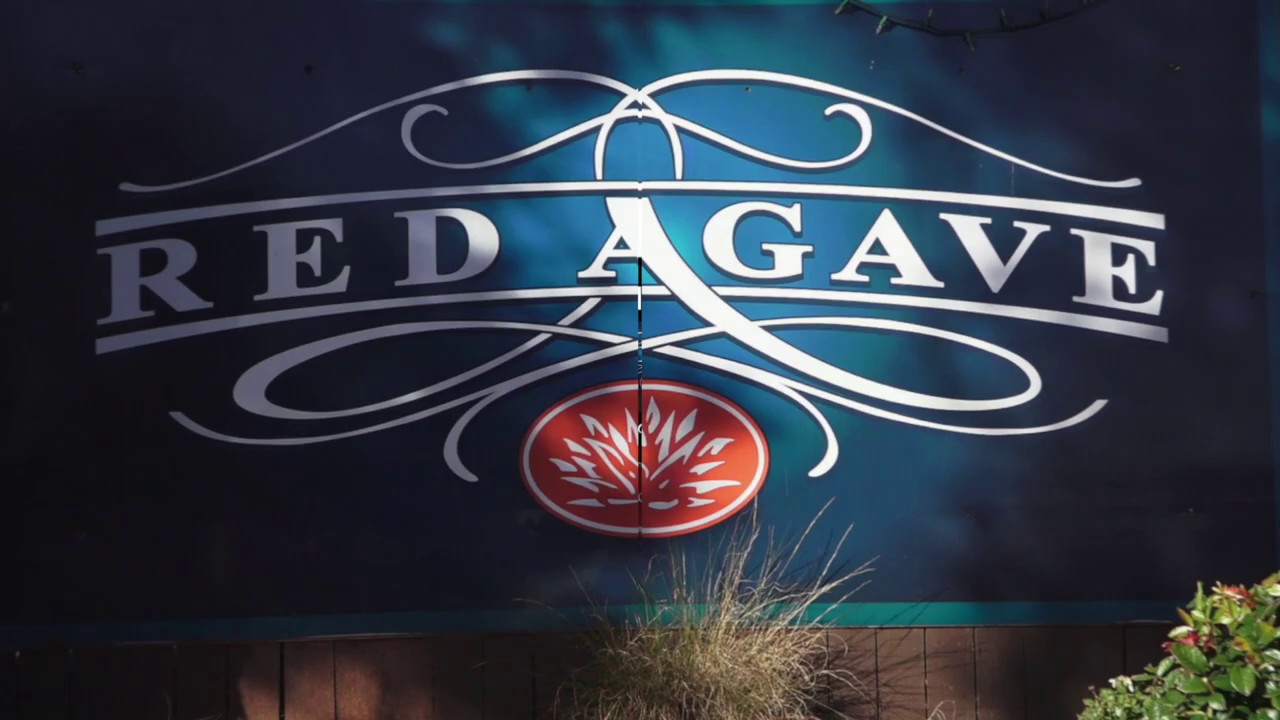David Merino - Red Agave 1