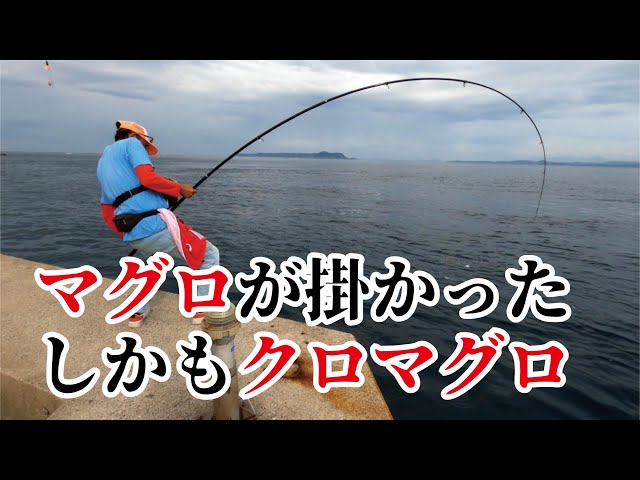 マグロ釣り用　カギ マグロ釣り用 カギ