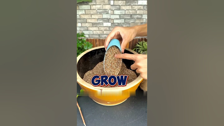 Don't throw away the leftover mineral water bottles at home, you can use them for cuttings#garden
