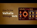 Valhalla Vintage Verb with Paolo Mojo