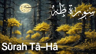 Beautiful recitation for Surah Taha by Ahmed Khedr