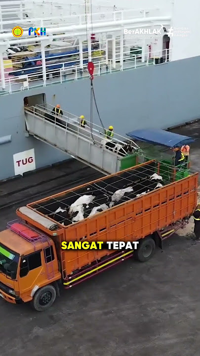 Memperkuat Kemitraan Susu U S    Indonesia   Membangun Masa Depan Peternakan Berkelanjutan
