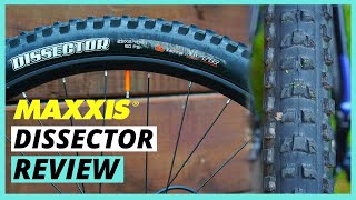 The Best Do It All Mountain Bike Tire? | Maxxis Dissector Review screenshot 5