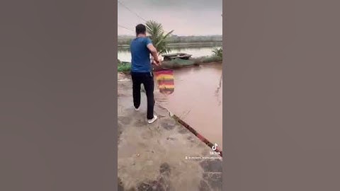 Câu cá song (cá mú) hơn 3 năm tuổi !