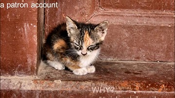 Ugly Data Episode 1: Capture it.  Clean it.