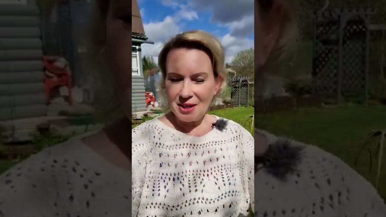 Таша муляр дзен последнее видео на дзене