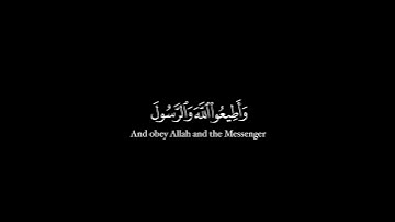 كرومة شاشة سوداء بصوت القارئ: ياسر الدوسري-سورة آل عمران|| #ياسر_الدوسري #تلاوة_خاشعة #القرآن_الكريم