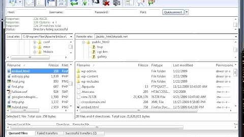 Exploiting vulnerabilities in Adobe Flash