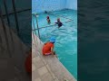 swimming pool 9 Days Complete#reels#shorts#youtubeshorts#irfanyt#swimmingpool#swimming#trending