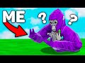 I pretended to be a noob in gorilla tag