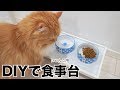 【DIY】猫ちゃん用の食事台を作ってみた！【スコティッシュフォールド】- I made a cat dining table