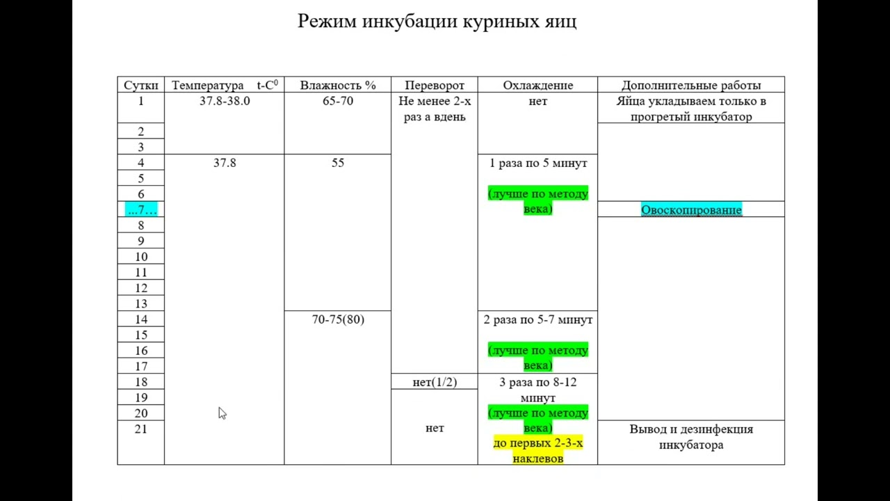 Температура в инкубаторе для вывода цыплят. Режим инкубации куриных яиц. График инкубации куриных яиц. Таблица инкубации куриных яиц. Температура инкубации куриных яиц.