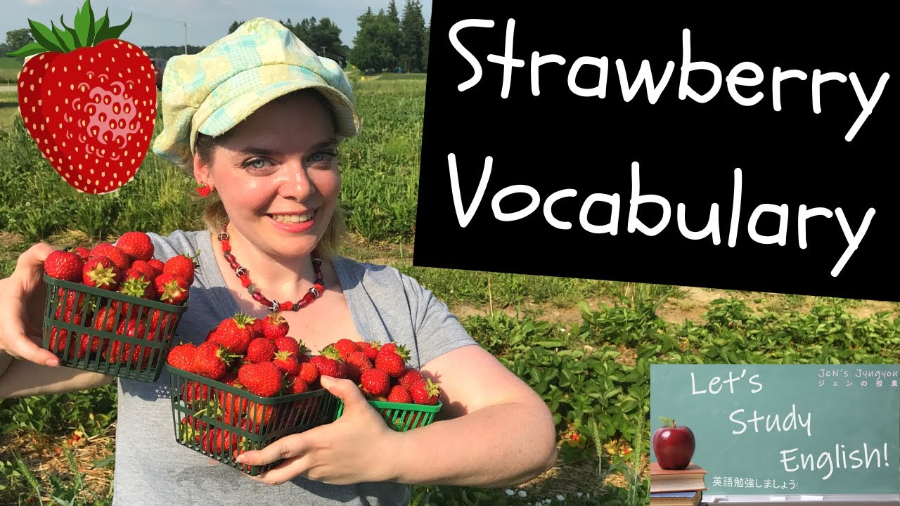 Strawberries Improve Your English With Strawberry Vocabulary At Red Barn Berries 苺の語彙であなたの英語を改善します Youtube