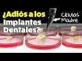 Dientes creados con CÉLULAS MADRE ¿REEMPLAZAN IMPLANTES DE TITANIO? | Lo que no te han dicho.