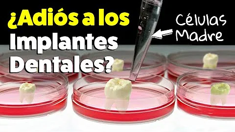 ¿Puede volver a crecer el esmalte dental?