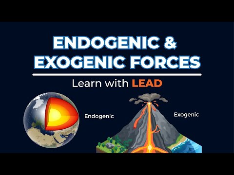วีดีโอ: กระบวนการ endogenic แตกต่างจากกระบวนการภายนอกอย่างไร?