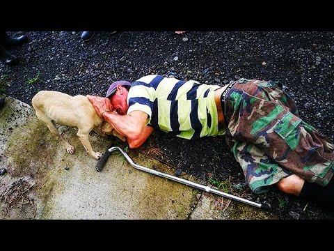 Люди проходили мимо лежащего на земле мужчины и только собака пыталась его спасти