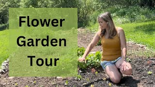 What’s Blooming So Far 🌸 Early Flower Garden Tour with Dahlias, Peonies & More Plant Talk Dahlia