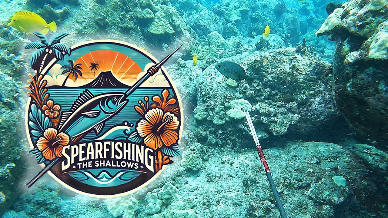 Подводная охота на мелководье Большого острова Гавайи — 3-х зубцовая сессия, ловля и приготовление