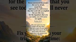 God's Promise Over Your Life Today #viral #shorts #message #thanksgod #thankjesus