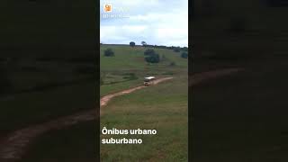 CAIO AMELIA ESCOLAR | CLÁSSICO E RAIZ!!!!! #shorts