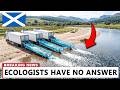 Scotland Released 150,000 Salmon Into a Dying River — Here's What Happened