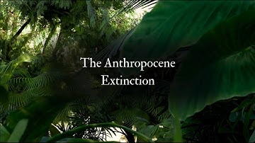 The Anthropocene Extinction | Blender Short Film