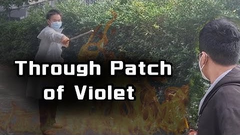 Through Patch of Violet (School Project Music Video)
