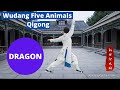 Wudang five animal qigong  dragon
